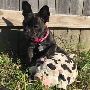 Meet your Posher, Vanessa